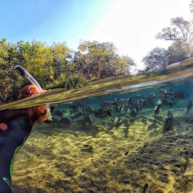 The best time to visit the Pantanal - Bonito Way